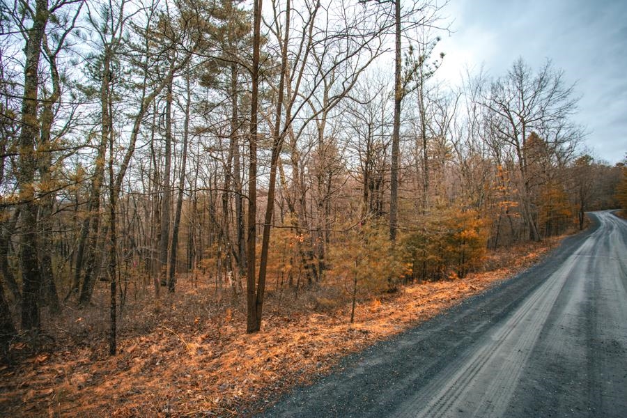 Lot 47 FETTERBUSH LN, HINTON, Virginia 22831, ,Land,Lot 47 Highlands of Rawley Springs,Lot 47 FETTERBUSH LN,674179 MLS # 674179