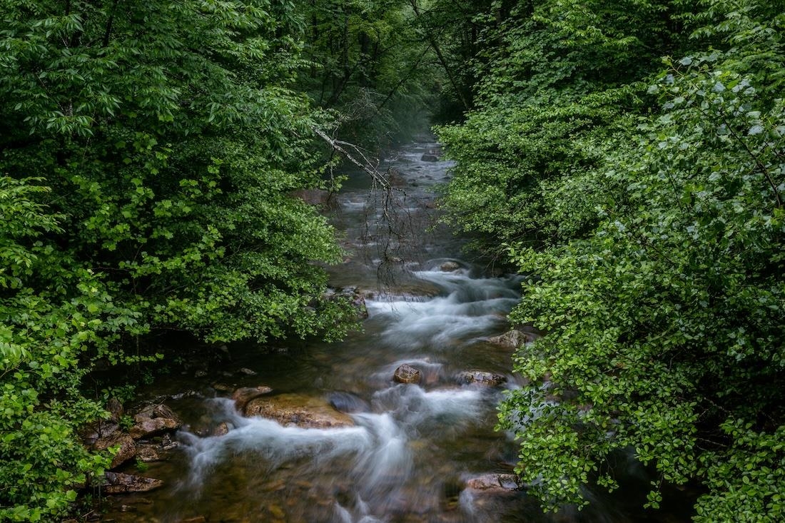 Lot 47 FETTERBUSH LN, HINTON, Virginia 22831, ,Land,Lot 47 Highlands of Rawley Springs,Lot 47 FETTERBUSH LN,674179 MLS # 674179