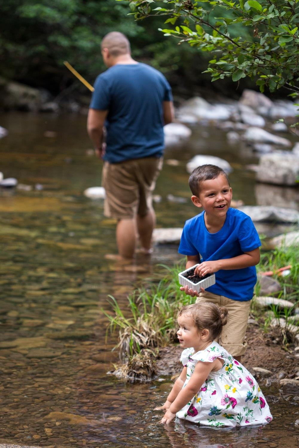 Fishing Dry River in the Highlands of Rawley Springs Hinton, VA
