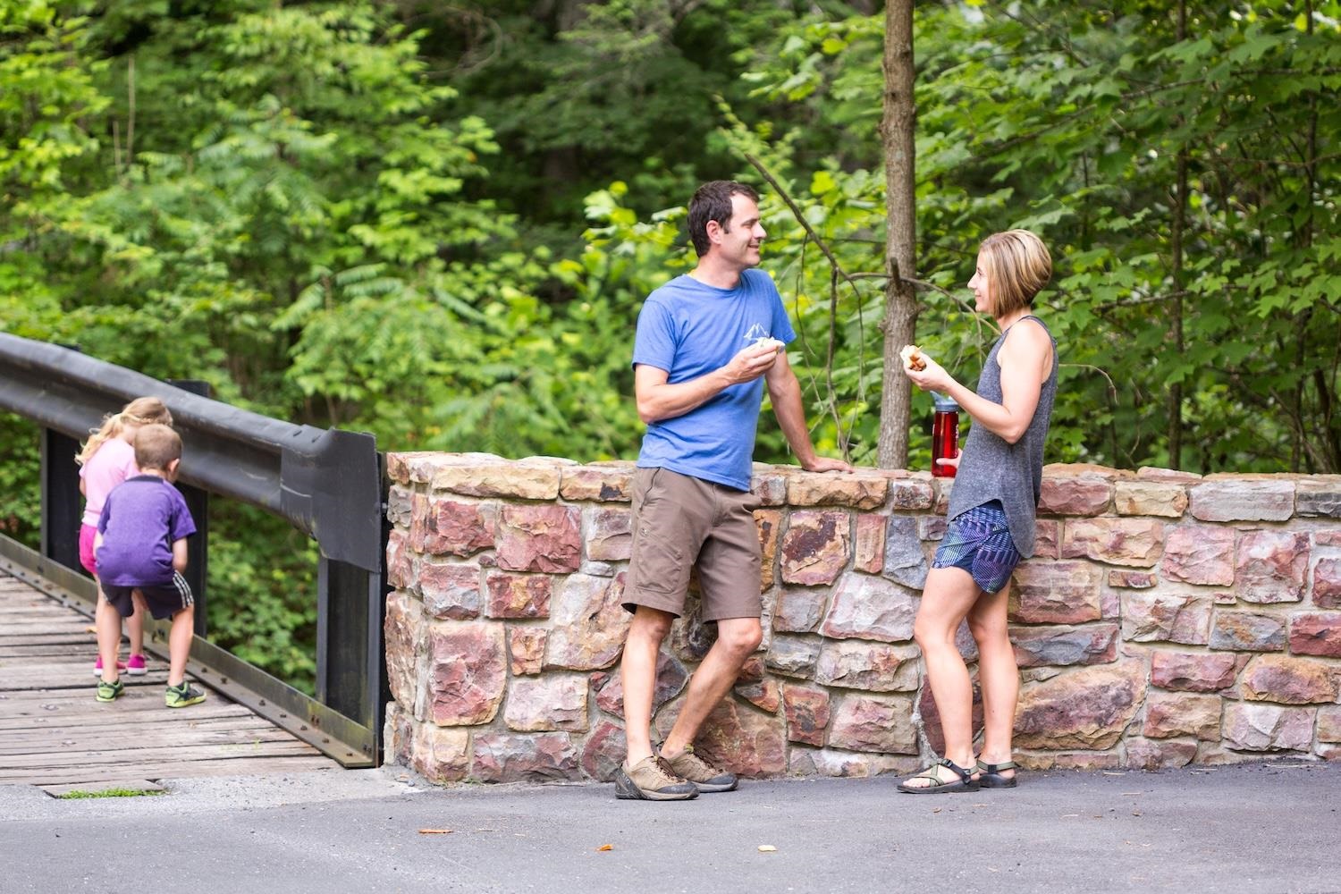 Bridge into the Highlands of Rawley Springs
