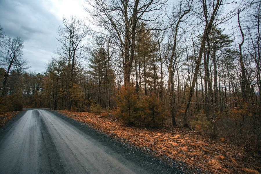 Lot 47 FETTERBUSH LN, HINTON, Virginia 22831, ,Land,Lot 47 Highlands of Rawley Springs,Lot 47 FETTERBUSH LN,674179 MLS # 674179