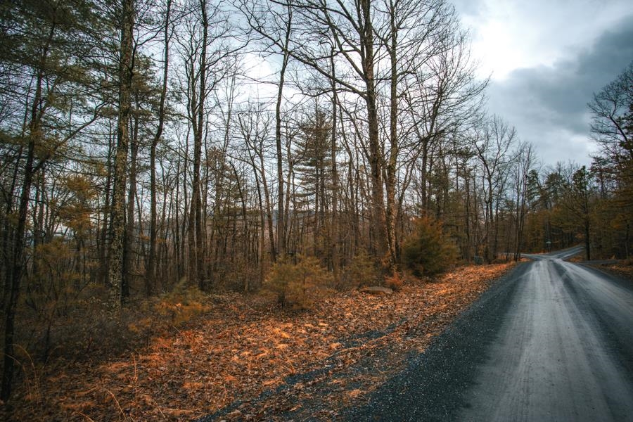 Lot 47 FETTERBUSH LN, HINTON, Virginia 22831, ,Land,Lot 47 Highlands of Rawley Springs,Lot 47 FETTERBUSH LN,674179 MLS # 674179