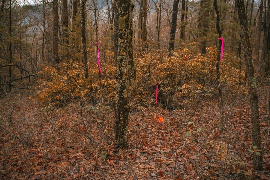 Lot 47 FETTERBUSH LN, HINTON, Virginia 22831, ,Land,Lot 47 Highlands of Rawley Springs,Lot 47 FETTERBUSH LN,674179 MLS # 674179