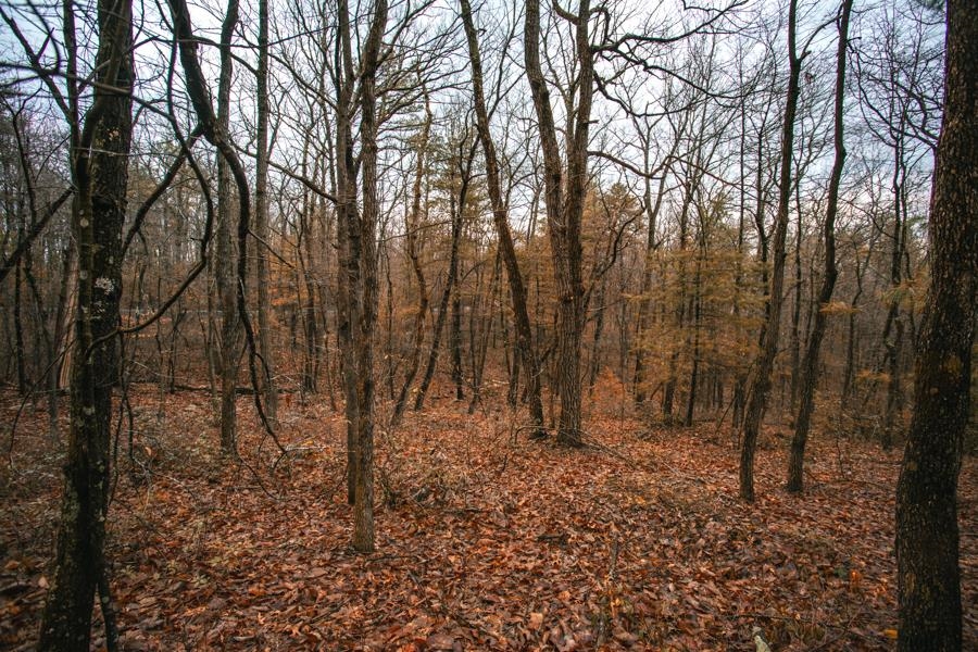 Lot 47 FETTERBUSH LN, HINTON, Virginia 22831, ,Land,Lot 47 Highlands of Rawley Springs,Lot 47 FETTERBUSH LN,674179 MLS # 674179