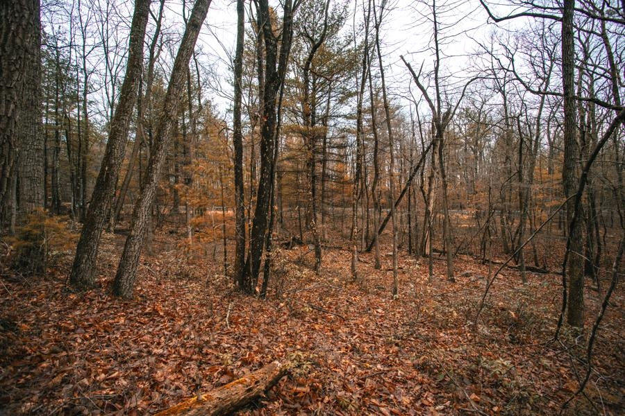 Lot 47 FETTERBUSH LN, HINTON, Virginia 22831, ,Land,Lot 47 Highlands of Rawley Springs,Lot 47 FETTERBUSH LN,674179 MLS # 674179