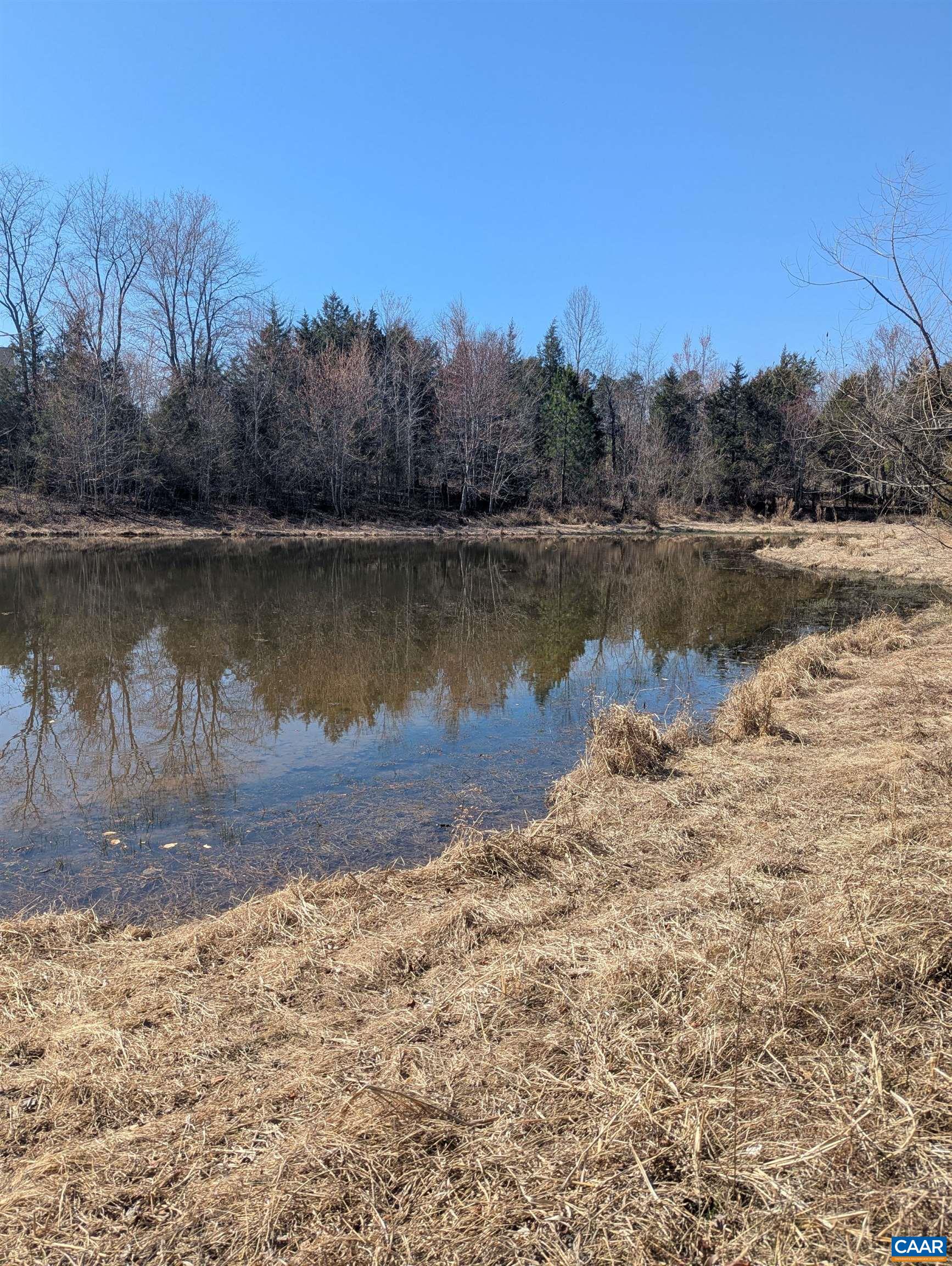 0 GOLDFINCH CT, SCOTTSVILLE, Virginia 24590, ,Land,0 GOLDFINCH CT,674185 MLS # 674185