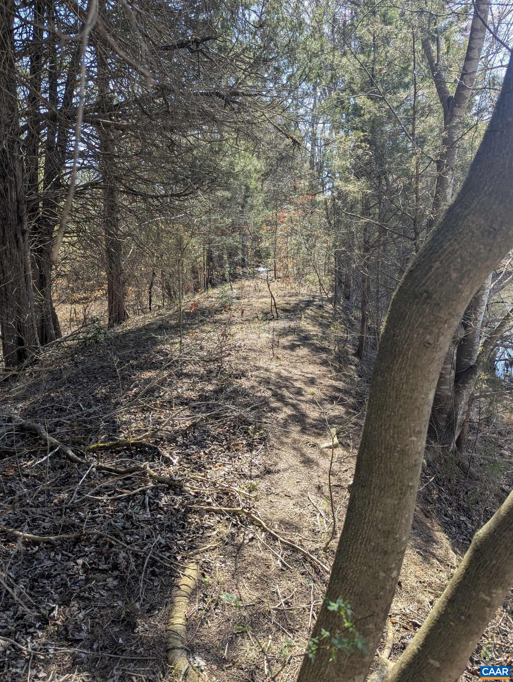 0 GOLDFINCH CT, SCOTTSVILLE, Virginia 24590, ,Land,0 GOLDFINCH CT,674185 MLS # 674185