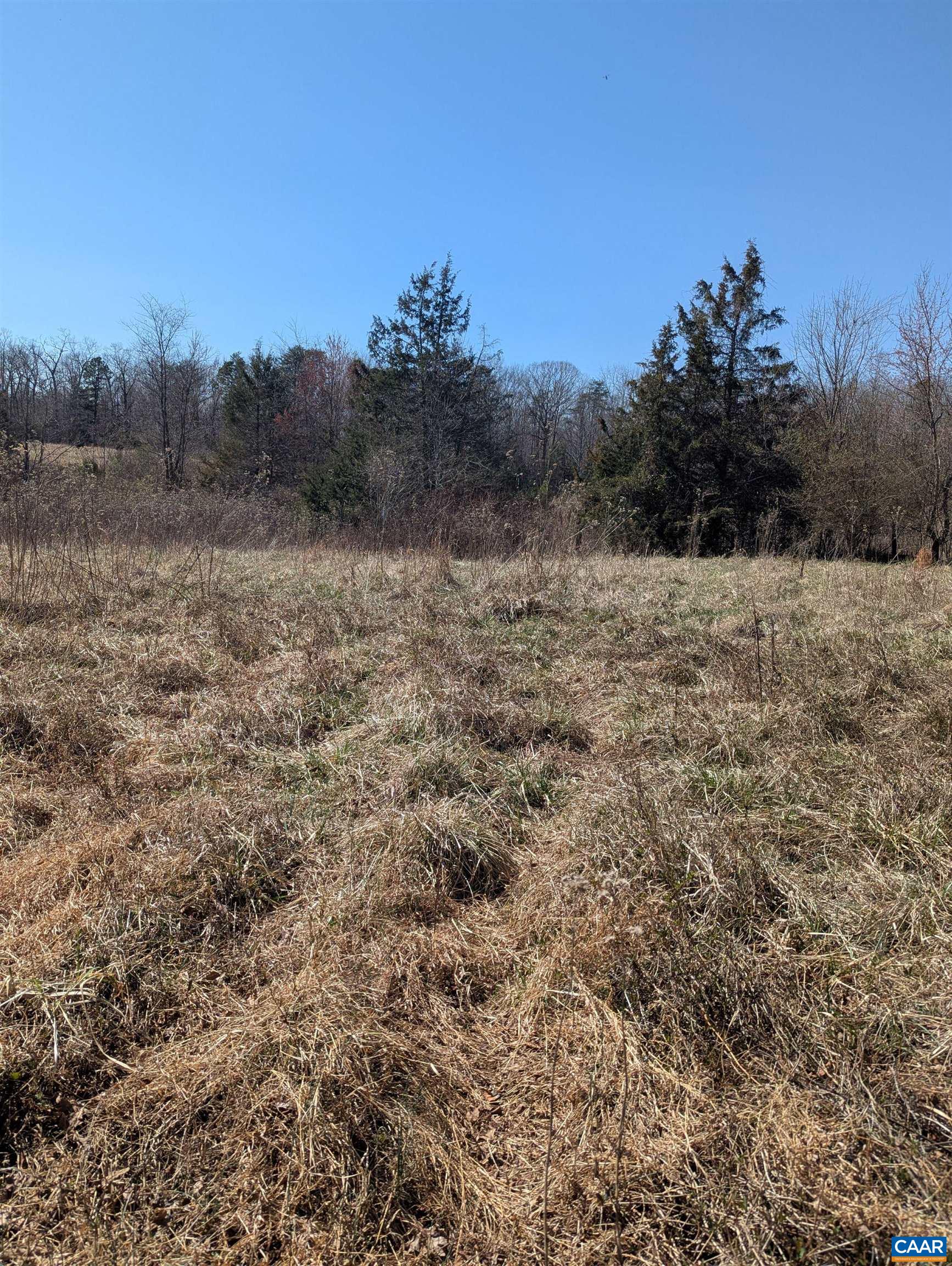 0 GOLDFINCH CT, SCOTTSVILLE, Virginia 24590, ,Land,0 GOLDFINCH CT,674185 MLS # 674185