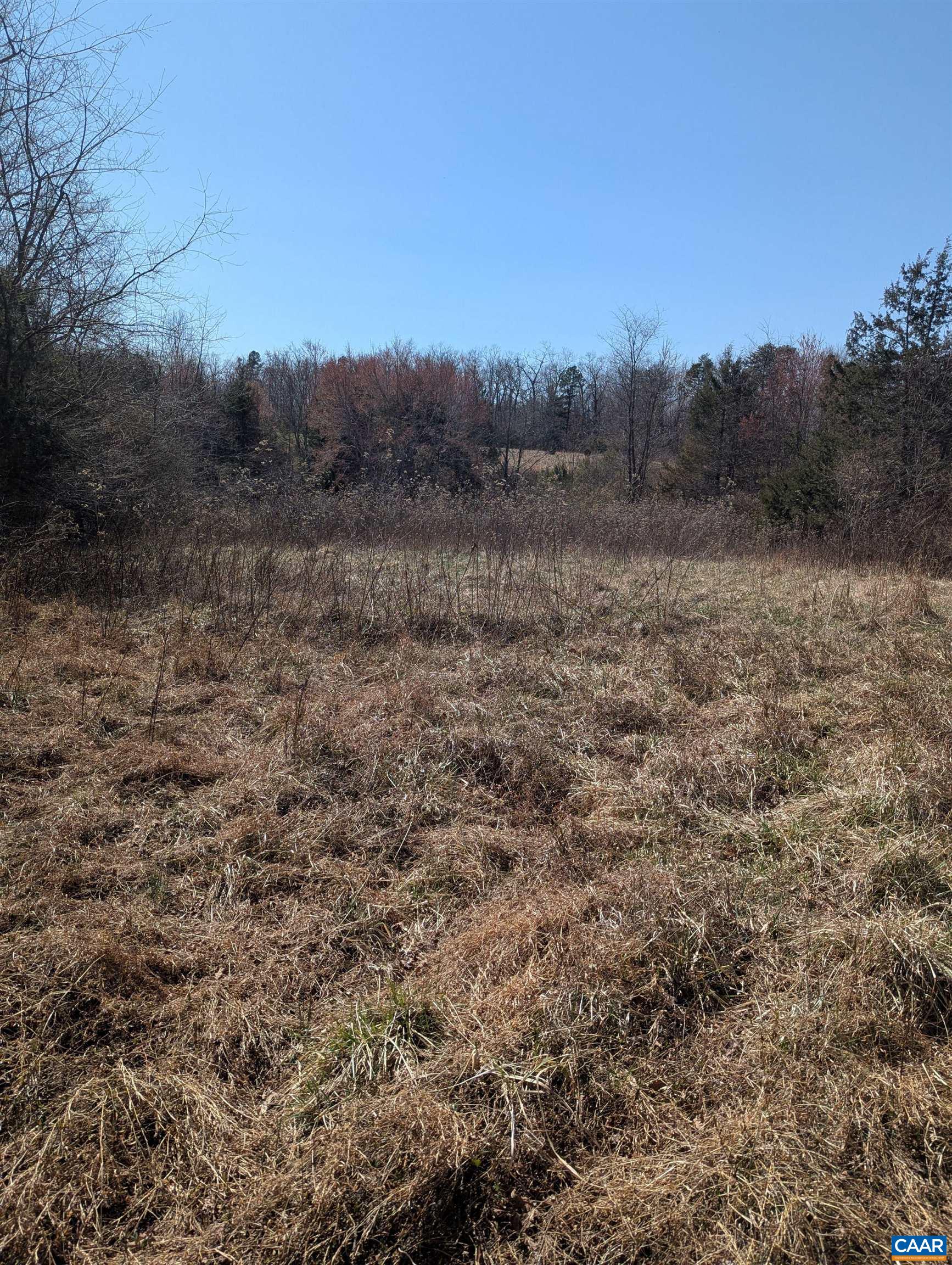 0 GOLDFINCH CT, SCOTTSVILLE, Virginia 24590, ,Land,0 GOLDFINCH CT,674185 MLS # 674185