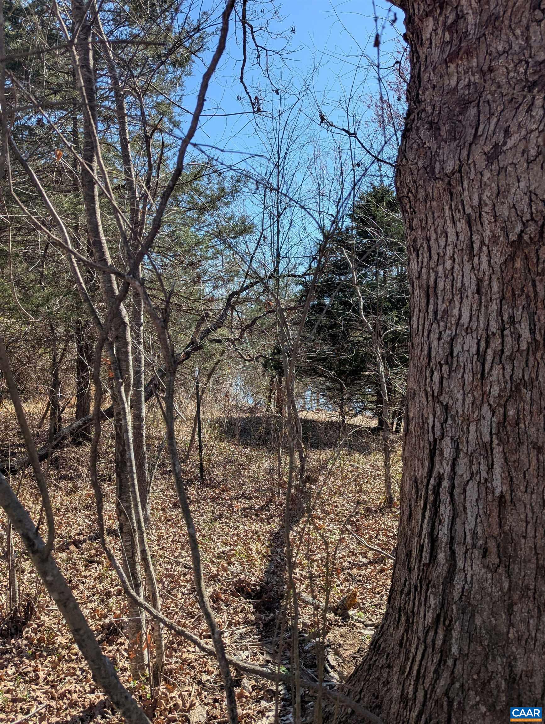 0 GOLDFINCH CT, SCOTTSVILLE, Virginia 24590, ,Land,0 GOLDFINCH CT,674185 MLS # 674185