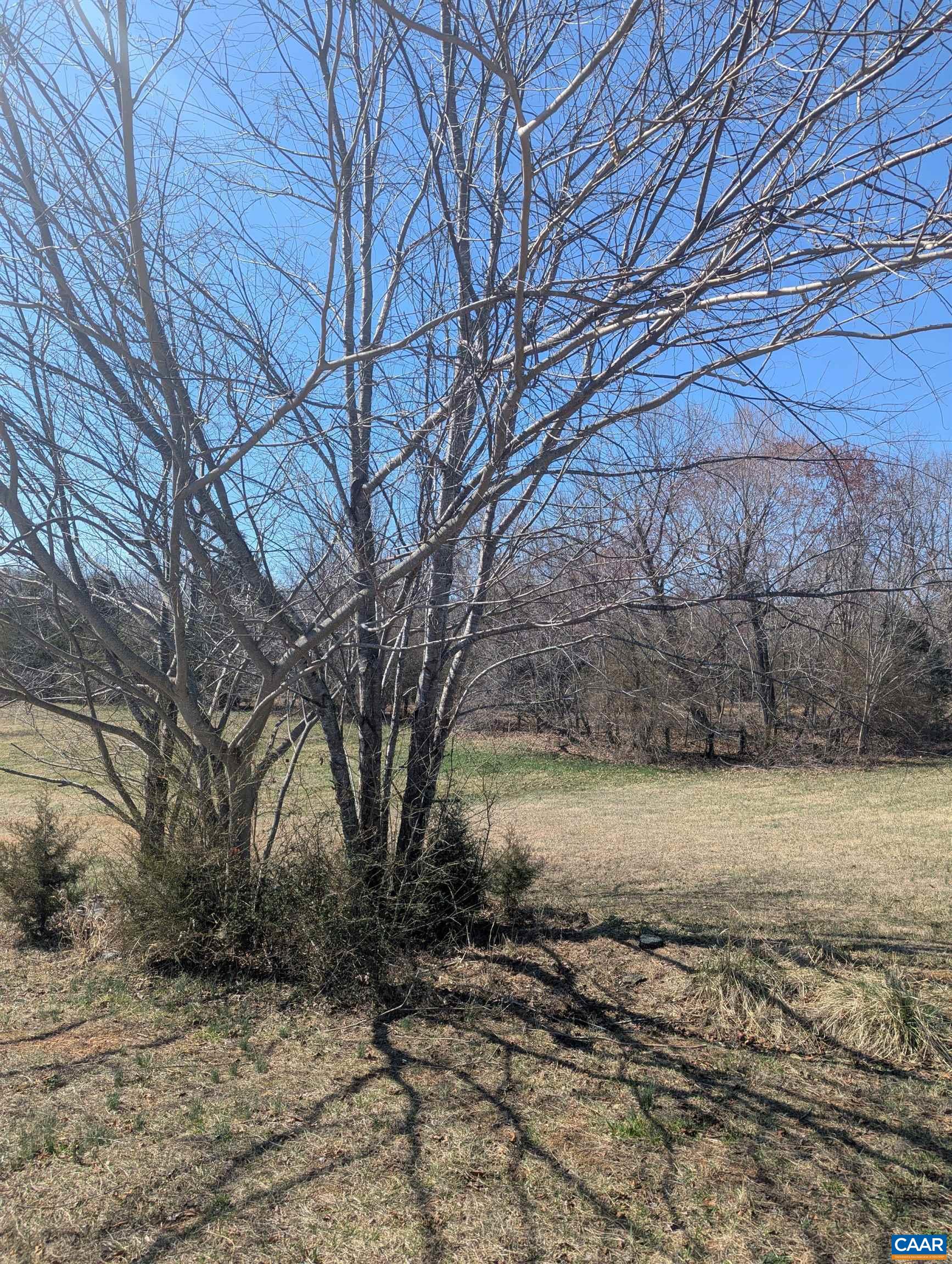 0 GOLDFINCH CT, SCOTTSVILLE, Virginia 24590, ,Land,0 GOLDFINCH CT,674185 MLS # 674185