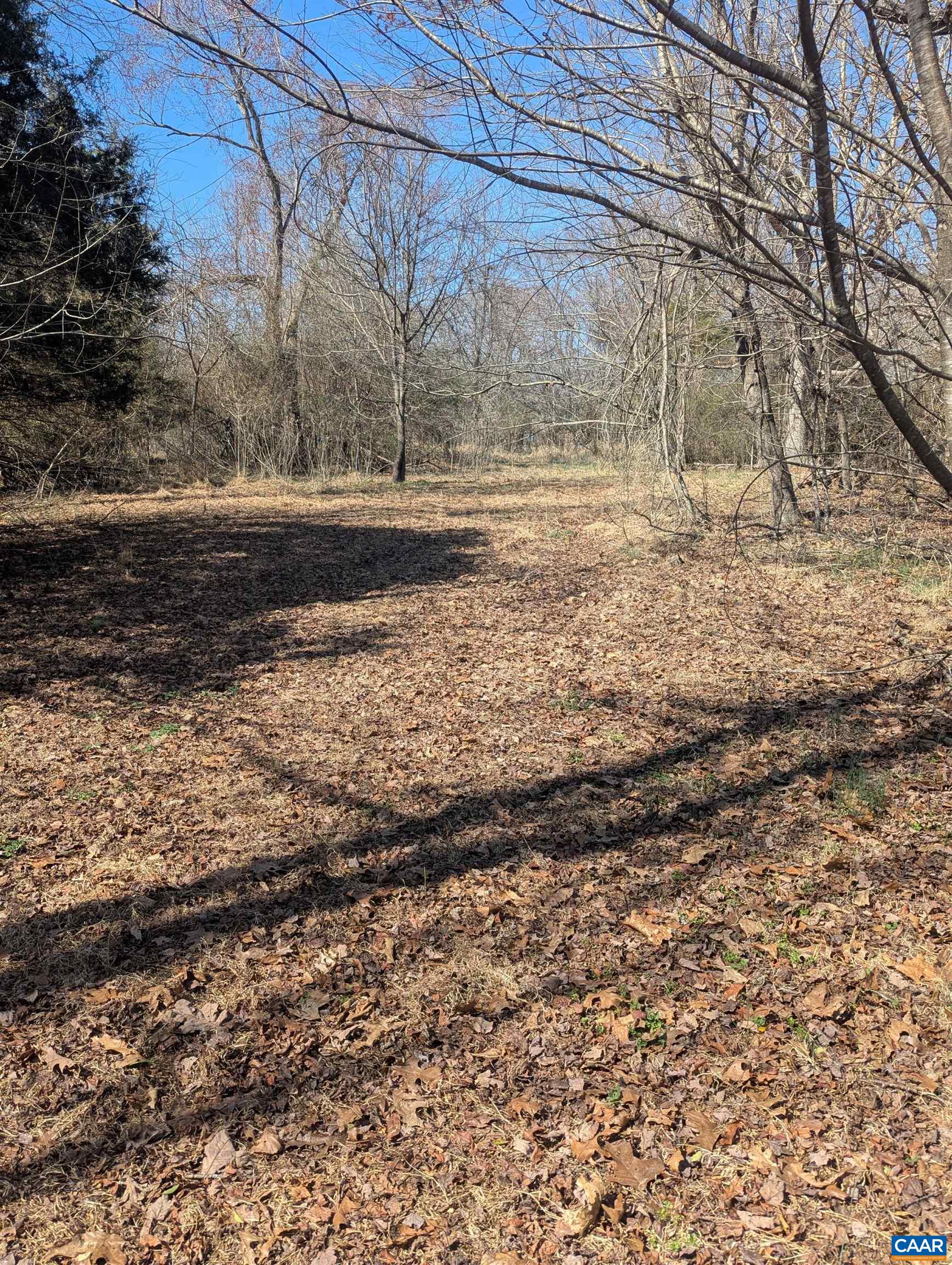 0 GOLDFINCH CT, SCOTTSVILLE, Virginia 24590, ,Land,0 GOLDFINCH CT,674185 MLS # 674185