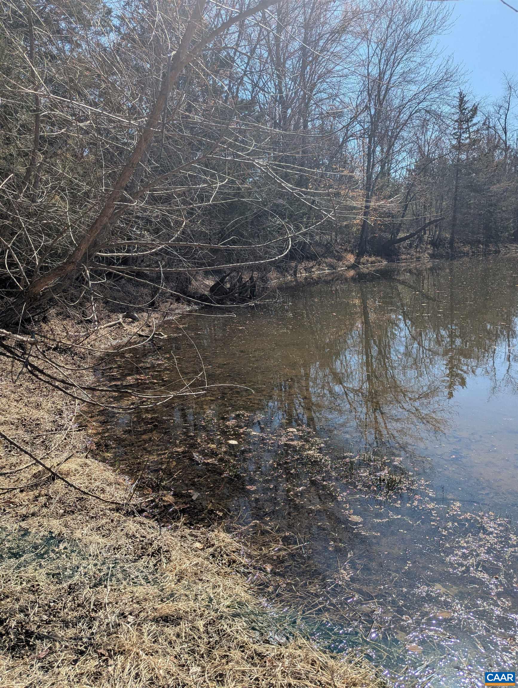 0 GOLDFINCH CT, SCOTTSVILLE, Virginia 24590, ,Land,0 GOLDFINCH CT,674185 MLS # 674185