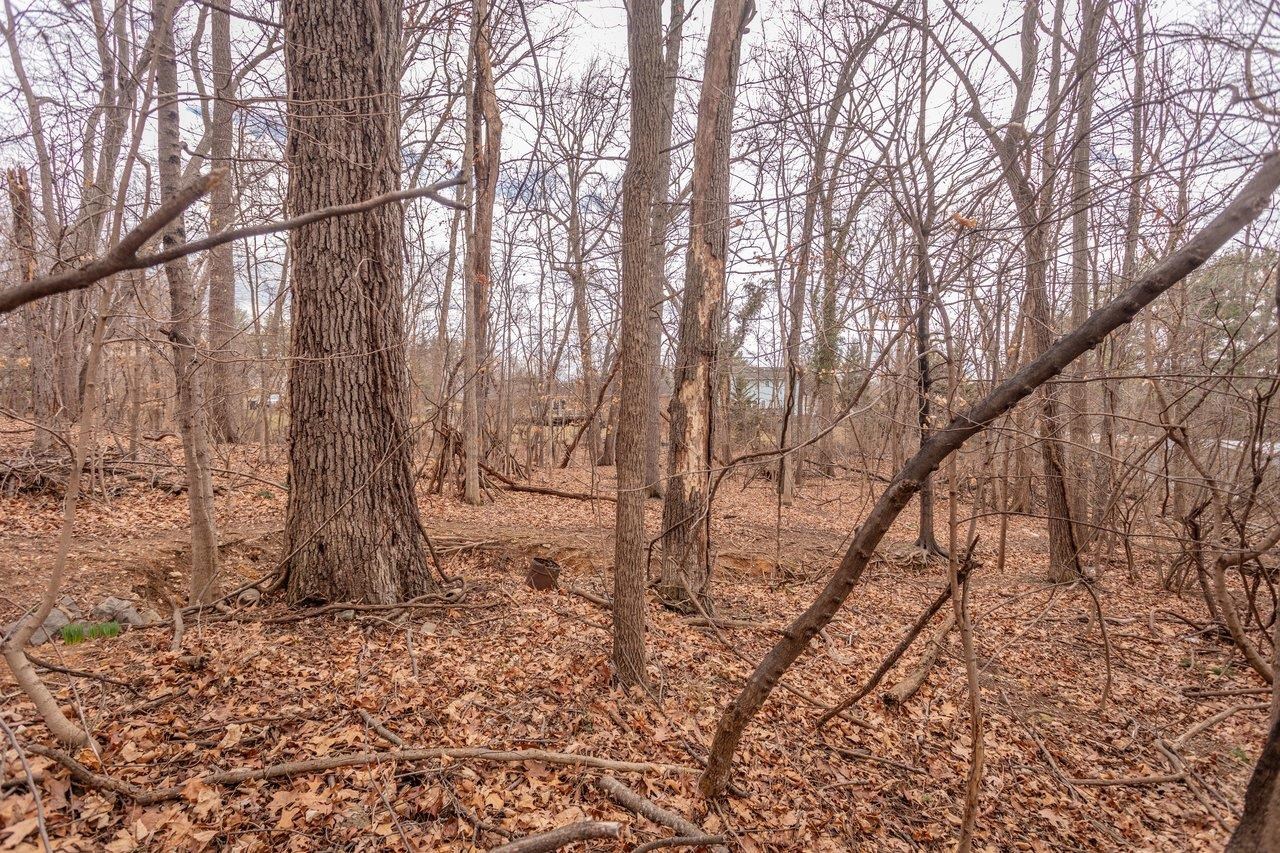 1186 NELSON DR, HARRISONBURG, Virginia 22801, 4 Bedrooms Bedrooms, ,2 BathroomsBathrooms,Residential,1186 NELSON DR,674162 MLS # 674162