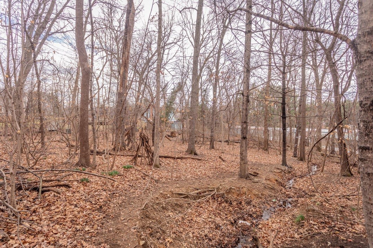 1186 NELSON DR, HARRISONBURG, Virginia 22801, 4 Bedrooms Bedrooms, ,2 BathroomsBathrooms,Residential,1186 NELSON DR,674162 MLS # 674162