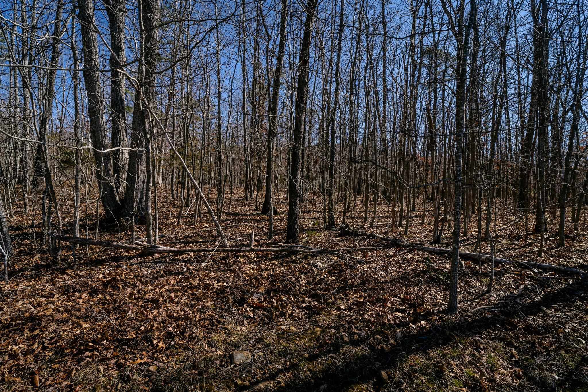 TBD KEMBLE SPRING LN, ELKTON, Virginia 22827, ,Land,TBD KEMBLE SPRING LN,674193 MLS # 674193