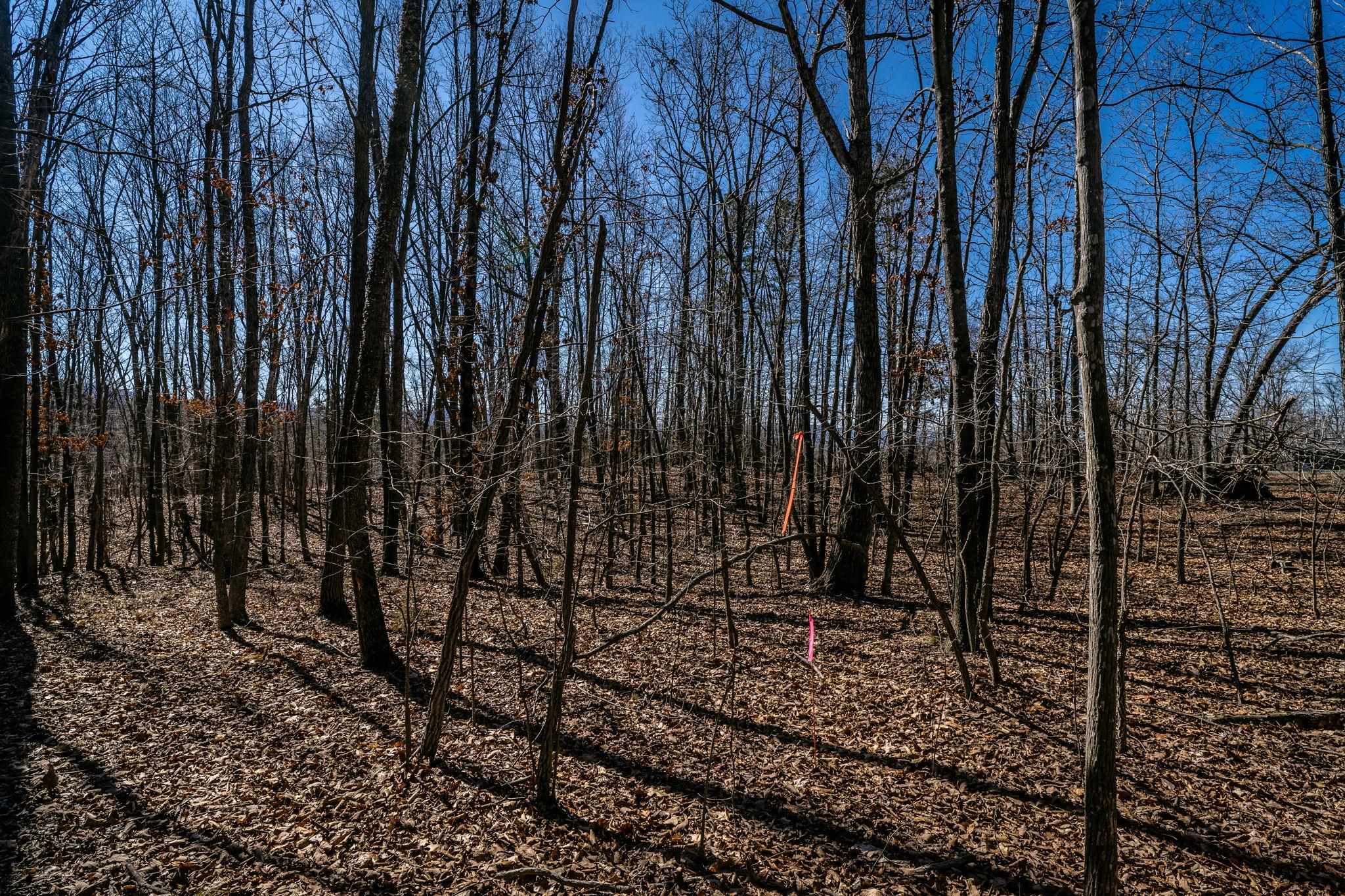 TBD KEMBLE SPRING LN, ELKTON, Virginia 22827, ,Land,TBD KEMBLE SPRING LN,674193 MLS # 674193