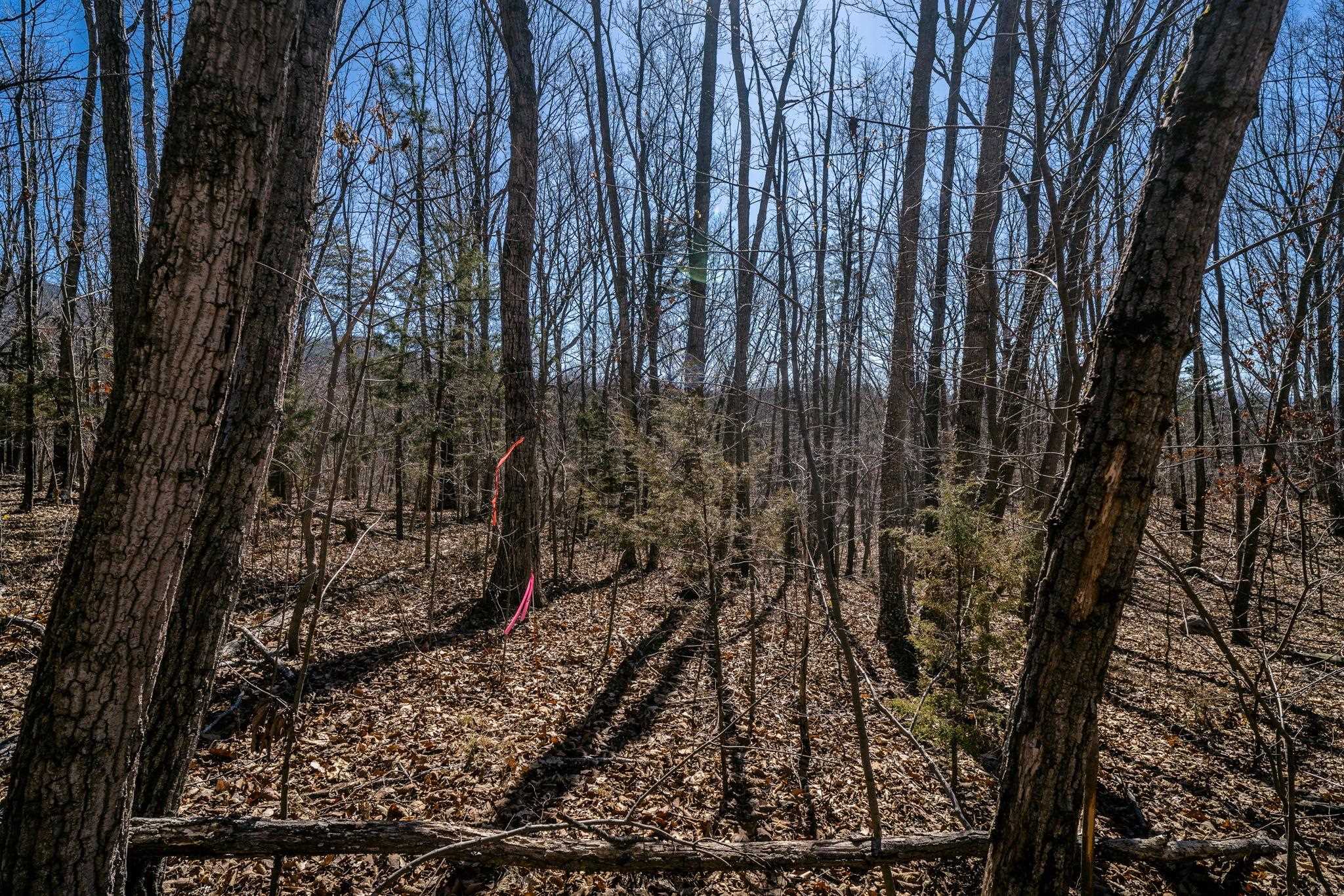 TBD KEMBLE SPRING LN, ELKTON, Virginia 22827, ,Land,TBD KEMBLE SPRING LN,674193 MLS # 674193