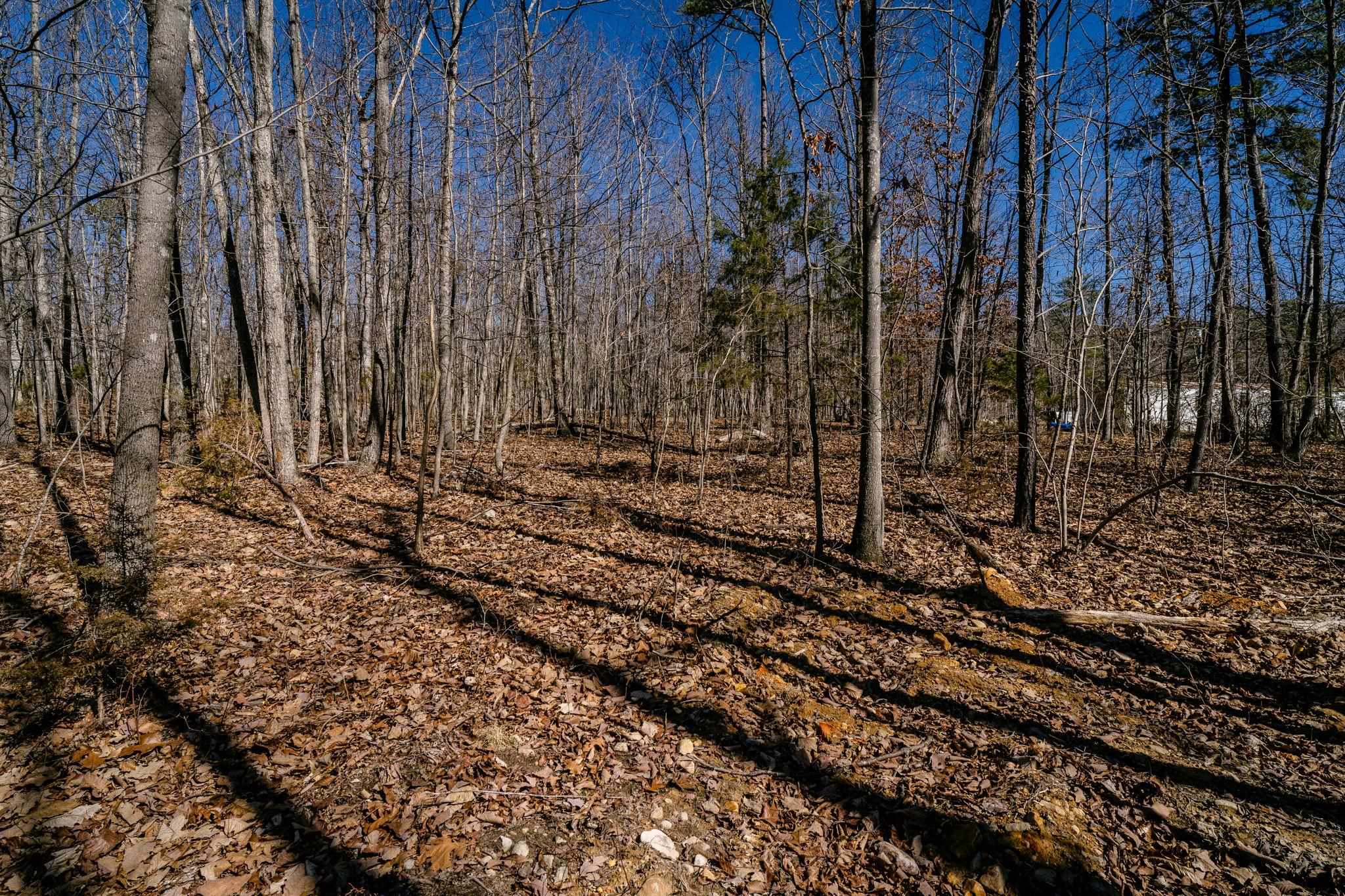 TBD KEMBLE SPRING LN, ELKTON, Virginia 22827, ,Land,TBD KEMBLE SPRING LN,674193 MLS # 674193