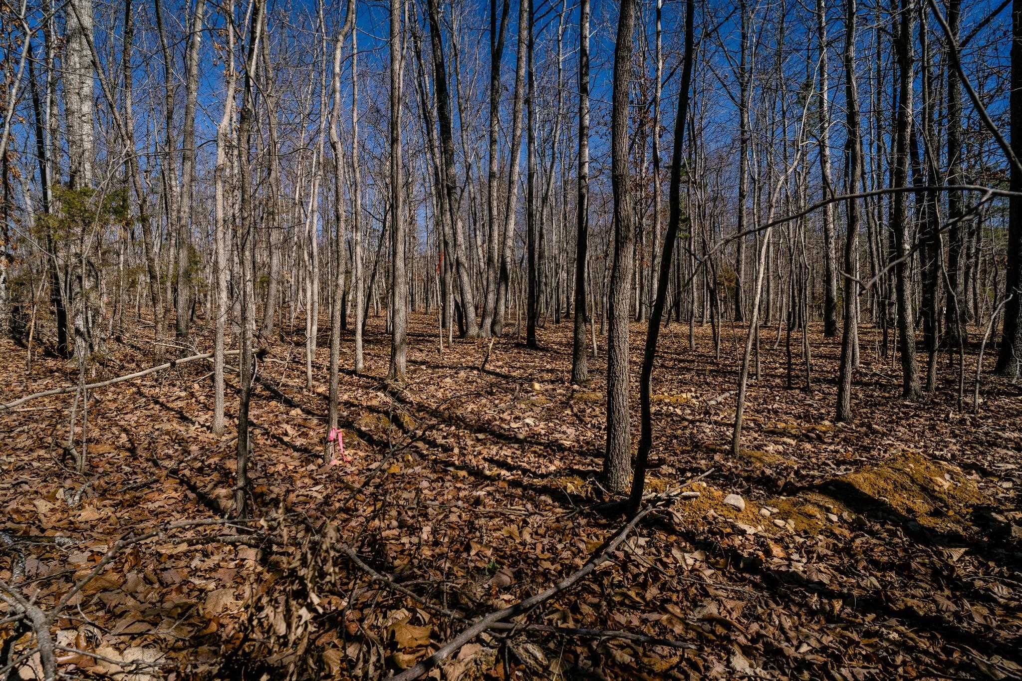 TBD KEMBLE SPRING LN, ELKTON, Virginia 22827, ,Land,TBD KEMBLE SPRING LN,674193 MLS # 674193