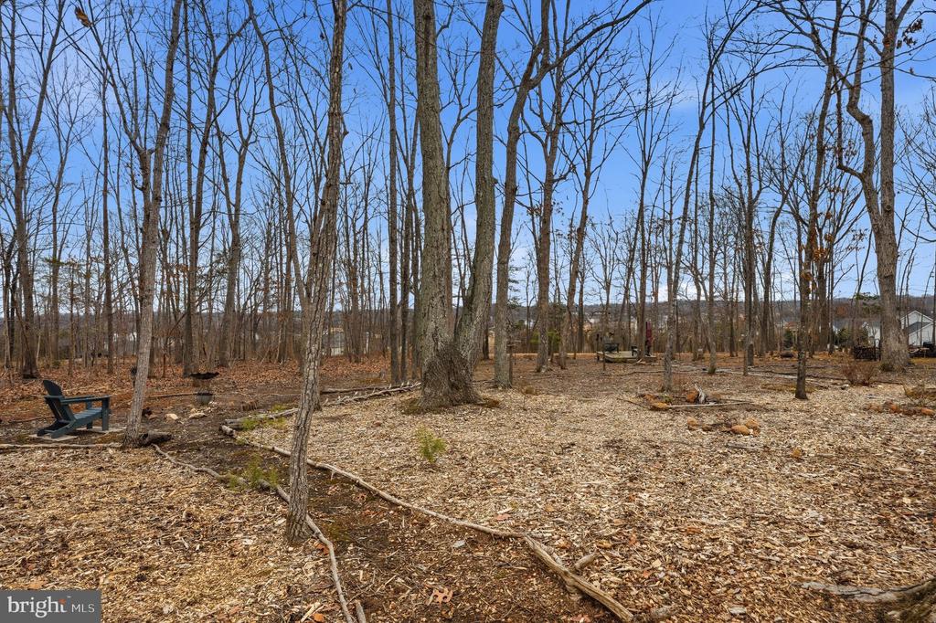 10272 QUARTZ AVE, CULPEPER, Virginia 22701, 5 Bedrooms Bedrooms, ,4 BathroomsBathrooms,Residential,10272 QUARTZ AVE,VACU2012754 MLS # VACU2012754