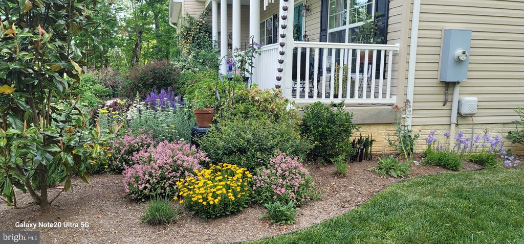 10272 QUARTZ AVE, CULPEPER, Virginia 22701, 5 Bedrooms Bedrooms, ,4 BathroomsBathrooms,Residential,10272 QUARTZ AVE,VACU2012754 MLS # VACU2012754