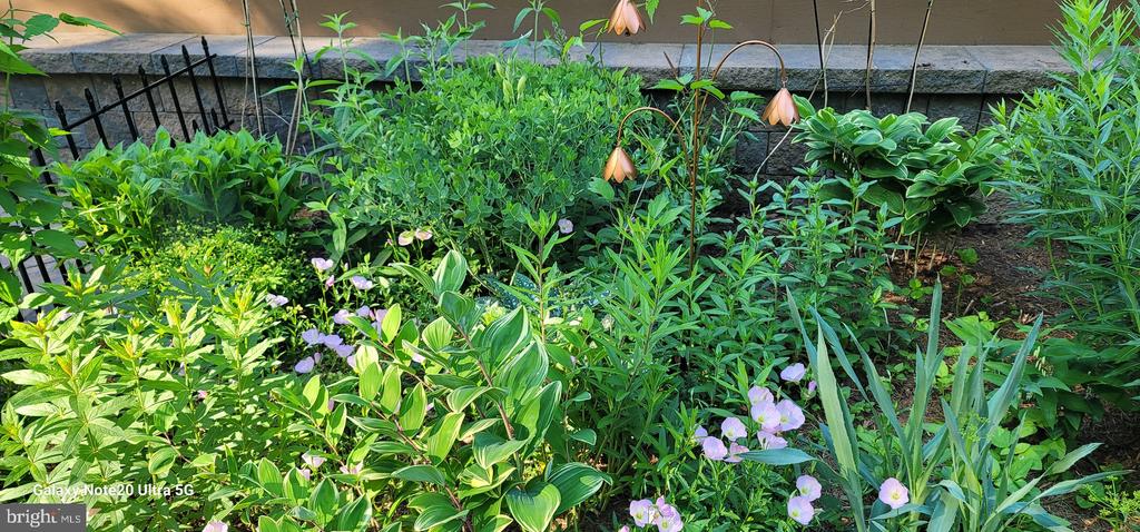 10272 QUARTZ AVE, CULPEPER, Virginia 22701, 5 Bedrooms Bedrooms, ,4 BathroomsBathrooms,Residential,10272 QUARTZ AVE,VACU2012754 MLS # VACU2012754