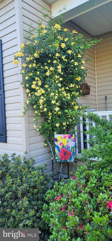 10272 QUARTZ AVE, CULPEPER, Virginia 22701, 5 Bedrooms Bedrooms, ,4 BathroomsBathrooms,Residential,10272 QUARTZ AVE,VACU2012754 MLS # VACU2012754