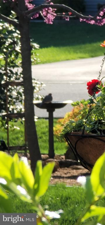 10272 QUARTZ AVE, CULPEPER, Virginia 22701, 5 Bedrooms Bedrooms, ,4 BathroomsBathrooms,Residential,10272 QUARTZ AVE,VACU2012754 MLS # VACU2012754