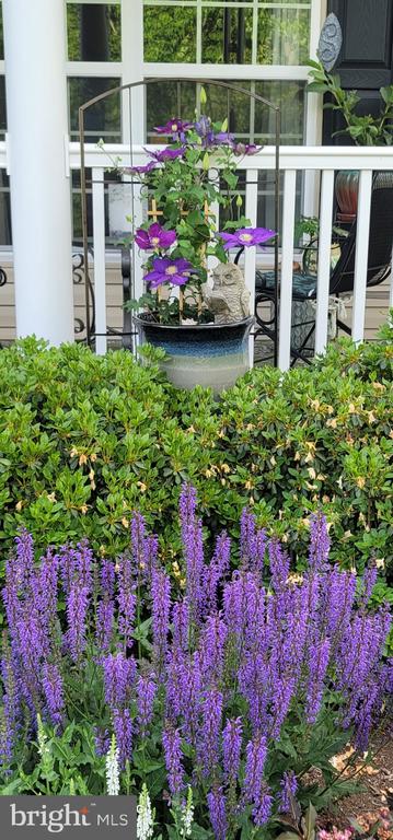 10272 QUARTZ AVE, CULPEPER, Virginia 22701, 5 Bedrooms Bedrooms, ,4 BathroomsBathrooms,Residential,10272 QUARTZ AVE,VACU2012754 MLS # VACU2012754