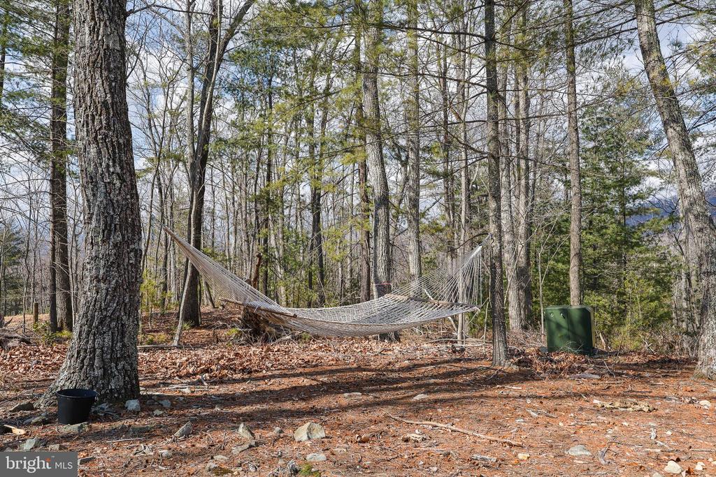 1823 DESERT RD, HAYWOOD, Virginia 22722, 1 Bedroom Bedrooms, ,1 BathroomBathrooms,Residential,1823 DESERT RD,VAMA2002630 MLS # VAMA2002630