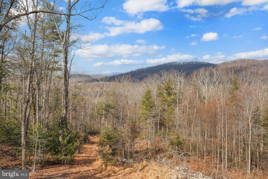 1823 DESERT RD, HAYWOOD, Virginia 22722, 1 Bedroom Bedrooms, ,1 BathroomBathrooms,Residential,1823 DESERT RD,VAMA2002630 MLS # VAMA2002630