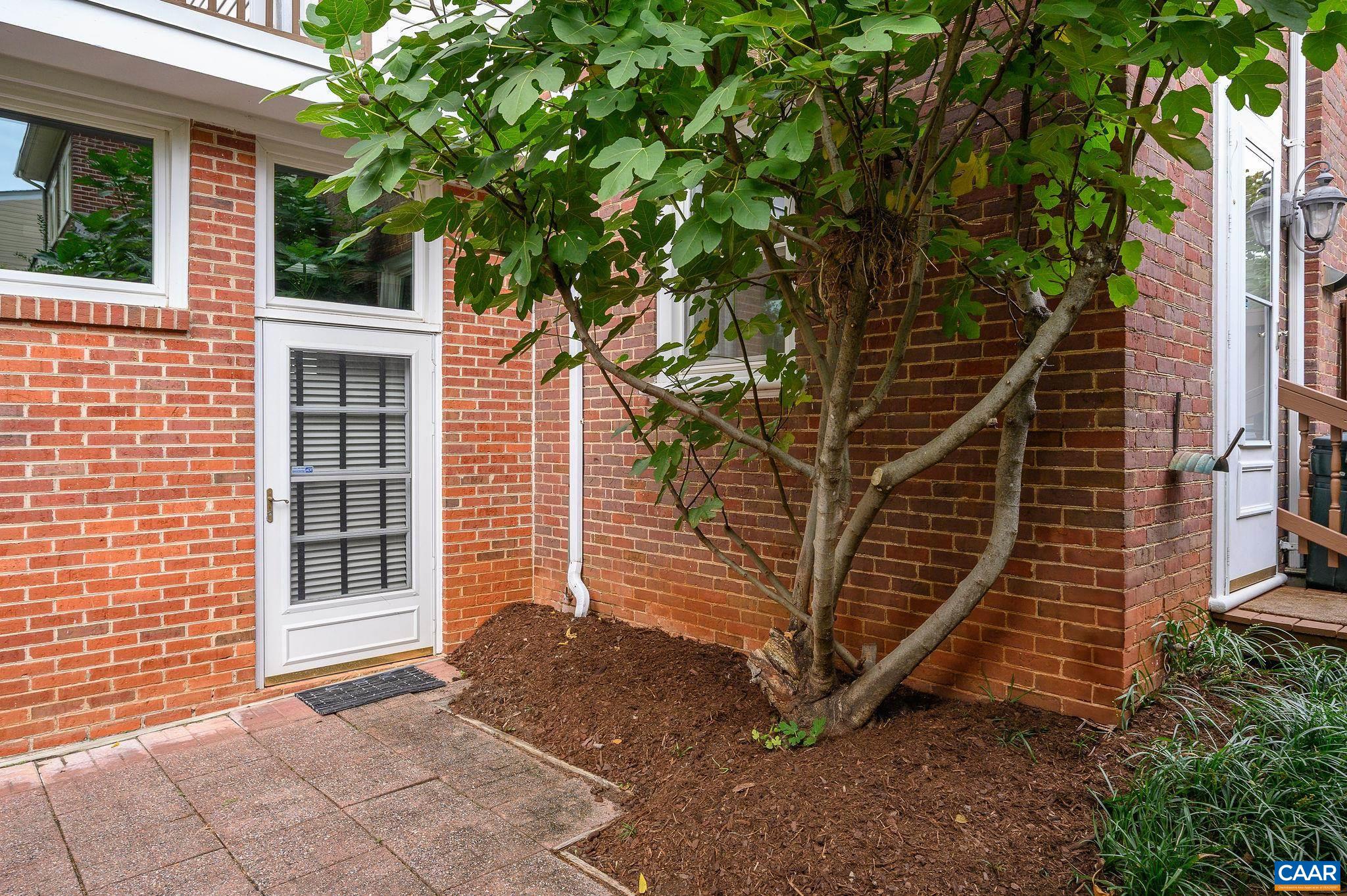 330 PARKWAY ST, CHARLOTTESVILLE, Virginia 22902, 3 Bedrooms Bedrooms, ,2 BathroomsBathrooms,Residential,330 PARKWAY ST,673935 MLS # 673935