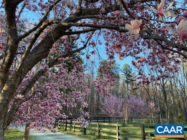 4635 DICK WOODS RD, CHARLOTTESVILLE, Virginia 22903, 3 Bedrooms Bedrooms, ,2 BathroomsBathrooms,Residential,4635 DICK WOODS RD,674084 MLS # 674084