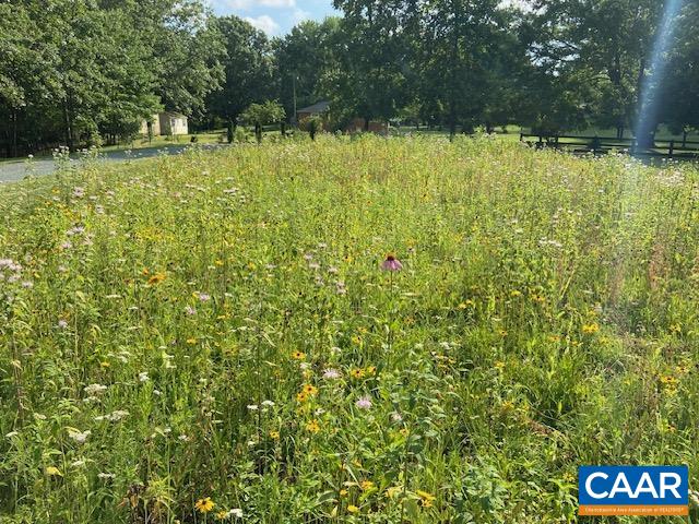 4635 DICK WOODS RD, CHARLOTTESVILLE, Virginia 22903, 3 Bedrooms Bedrooms, ,2 BathroomsBathrooms,Residential,4635 DICK WOODS RD,674084 MLS # 674084