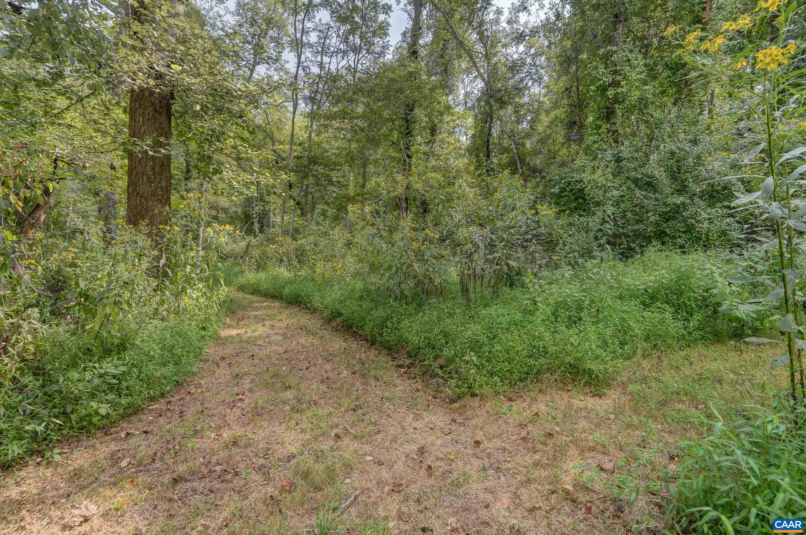 140 LYNX FARM LN, CHARLOTTESVILLE, Virginia 22903, 4 Bedrooms Bedrooms, ,4 BathroomsBathrooms,Residential,140 LYNX FARM LN,674098 MLS # 674098