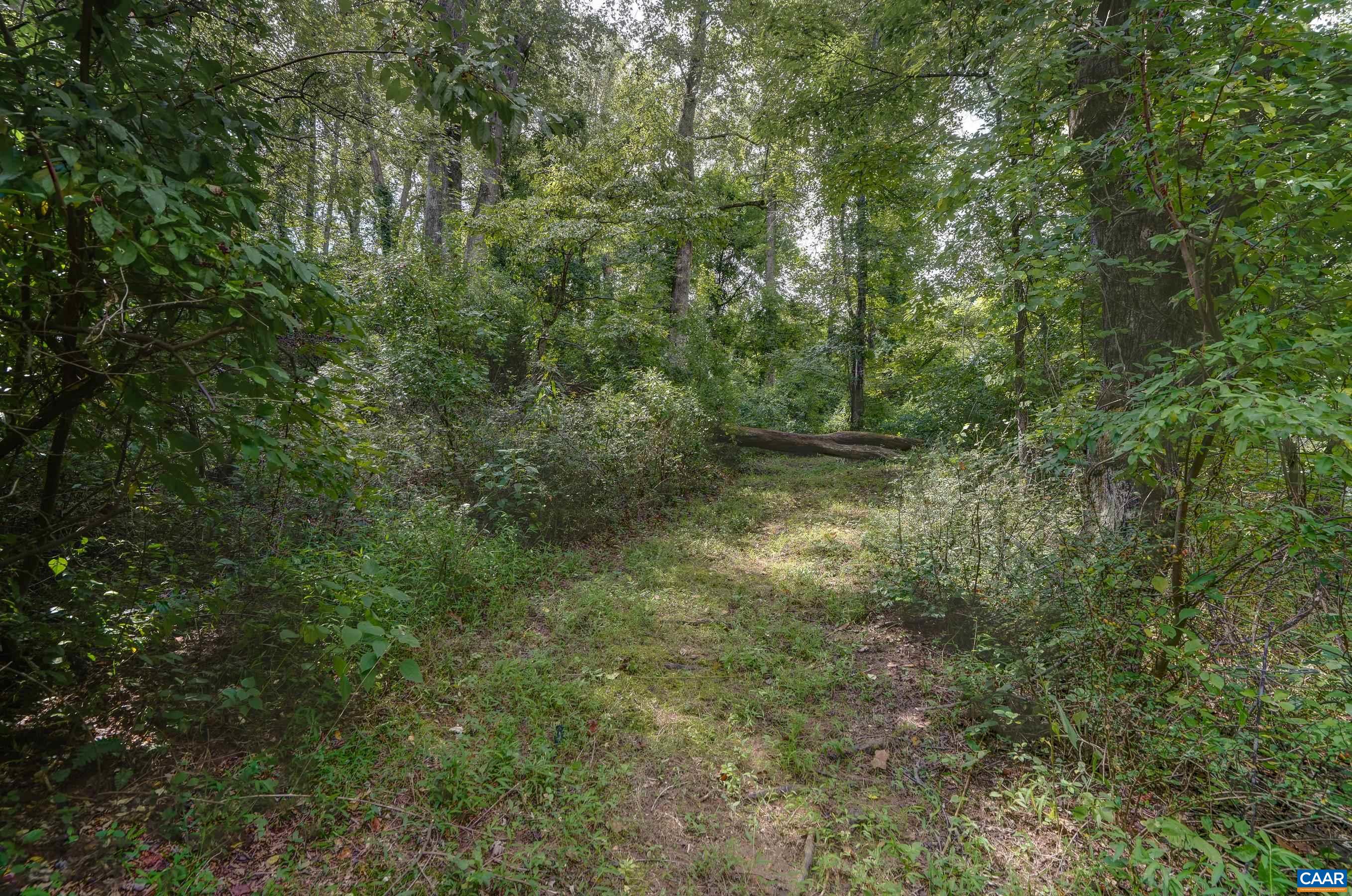 140 LYNX FARM LN, CHARLOTTESVILLE, Virginia 22903, 4 Bedrooms Bedrooms, ,4 BathroomsBathrooms,Residential,140 LYNX FARM LN,674098 MLS # 674098