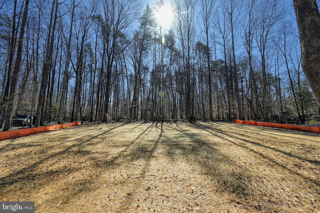 11604 BURTON CT, BUMPASS, Virginia 23024, 3 Bedrooms Bedrooms, ,2 BathroomsBathrooms,Residential,11604 BURTON CT,VASP2039840 MLS # VASP2039840