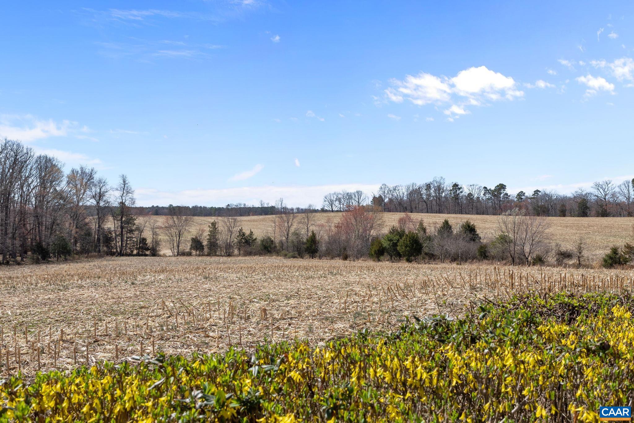 3258 W RIVER RD, SCOTTSVILLE, Virginia 24590, 4 Bedrooms Bedrooms, ,3 BathroomsBathrooms,Residential,3258 W RIVER RD,674230 MLS # 674230