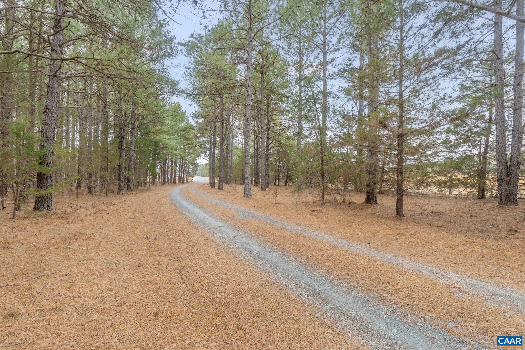 12048 LOUISA RD, GORDONSVILLE, Virginia 22942, 4 Bedrooms Bedrooms, ,4 BathroomsBathrooms,Residential,Redbud Farm,12048 LOUISA RD,674232 MLS # 674232