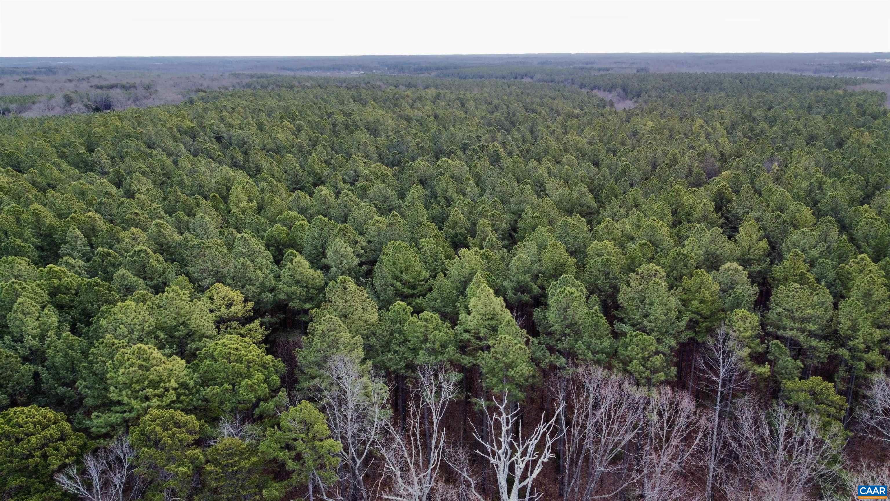 0 GREEN SPRING RD, LOUISA, Virginia 22942, ,Farm,0 GREEN SPRING RD,674251 MLS # 674251