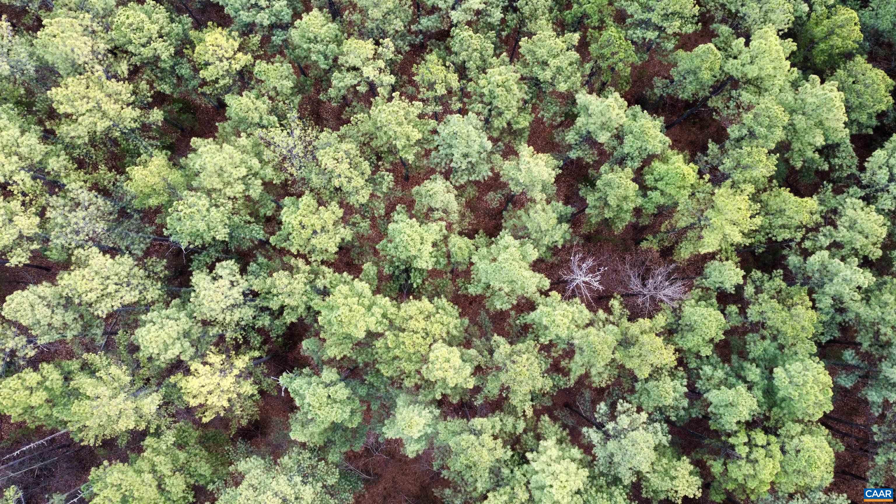 0 GREEN SPRING RD, LOUISA, Virginia 22942, ,Farm,0 GREEN SPRING RD,674251 MLS # 674251