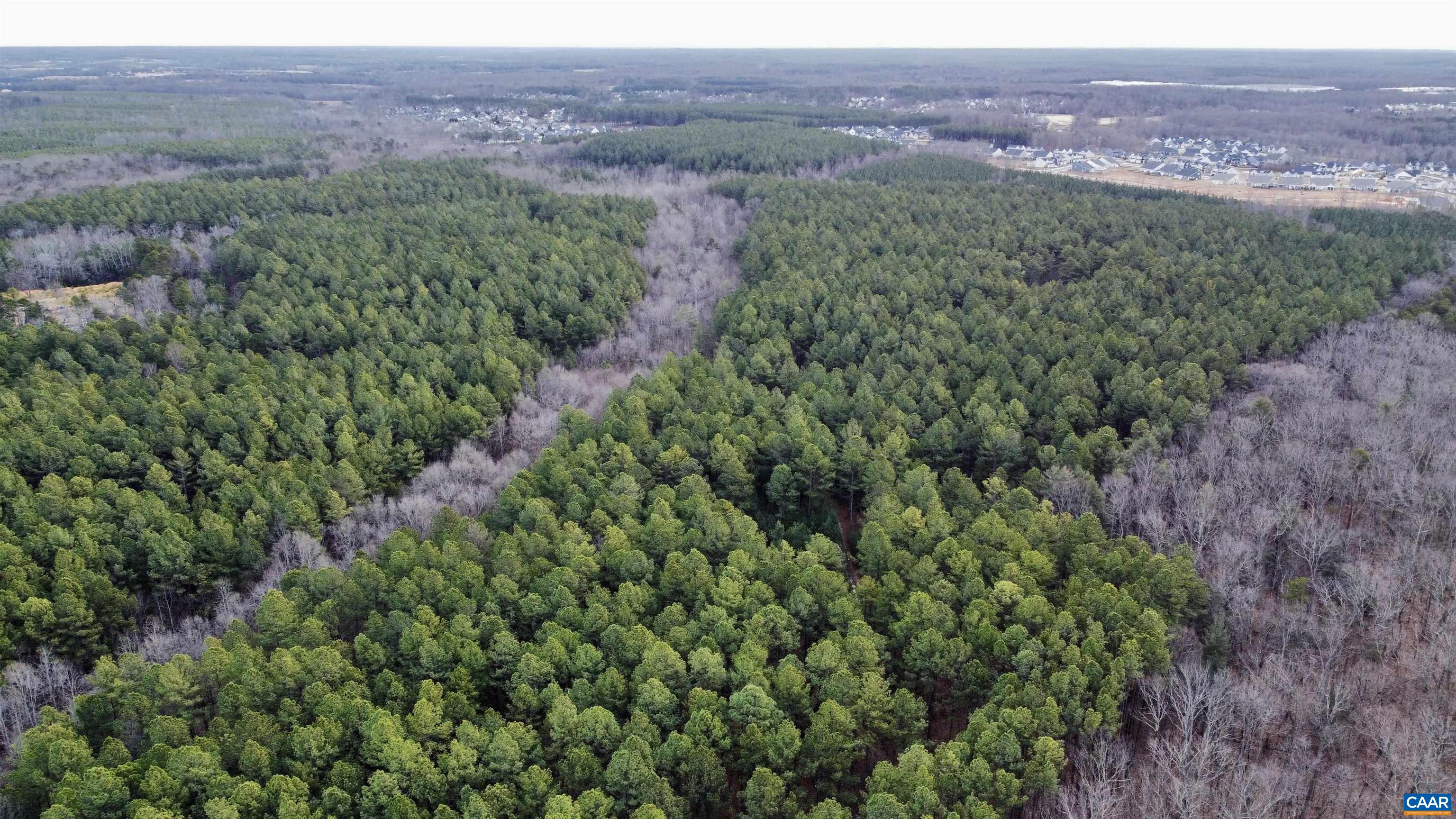 0 GREEN SPRING RD, LOUISA, Virginia 22942, ,Farm,0 GREEN SPRING RD,674251 MLS # 674251