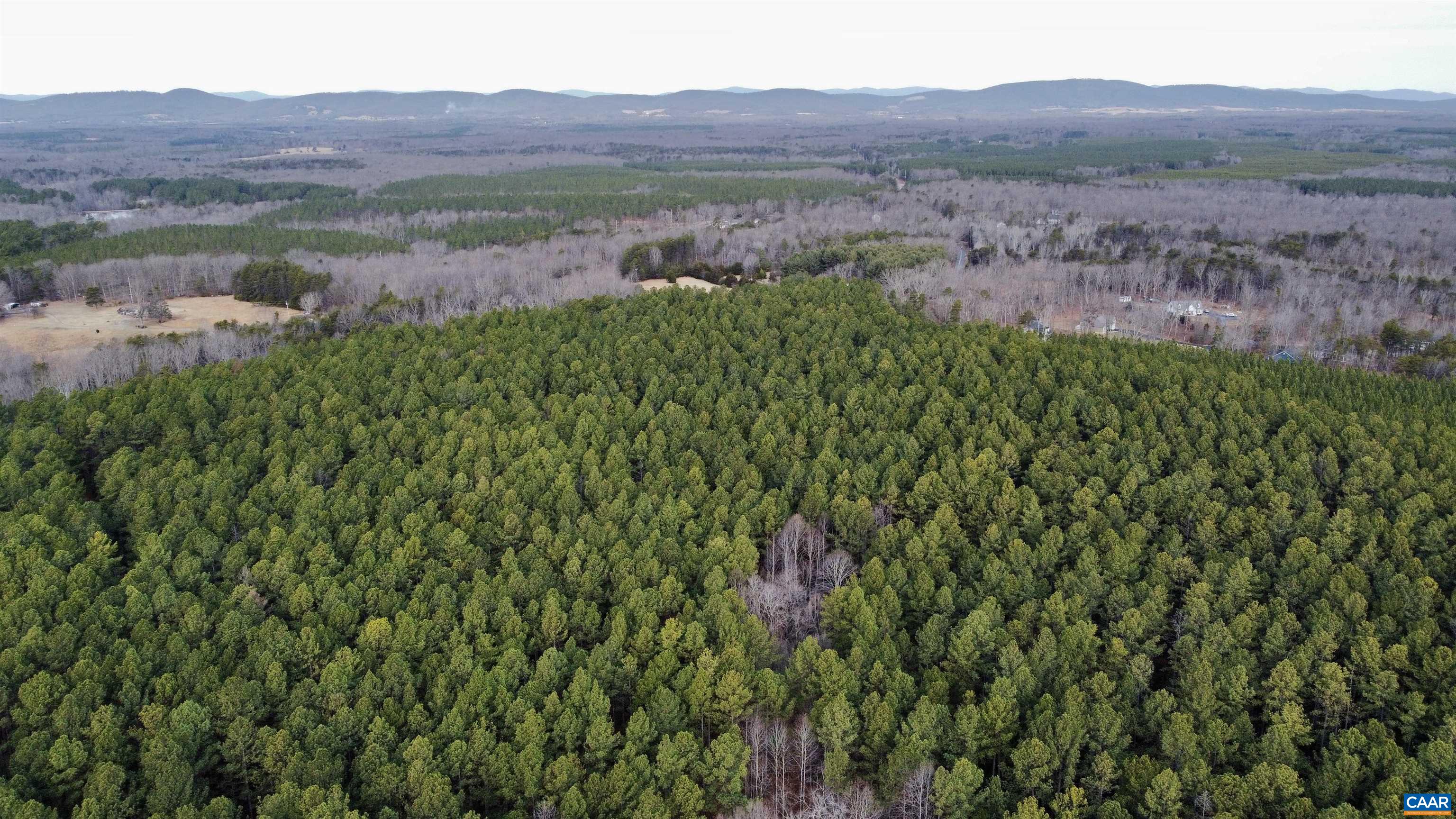 0 GREEN SPRING RD, LOUISA, Virginia 22942, ,Farm,0 GREEN SPRING RD,674251 MLS # 674251