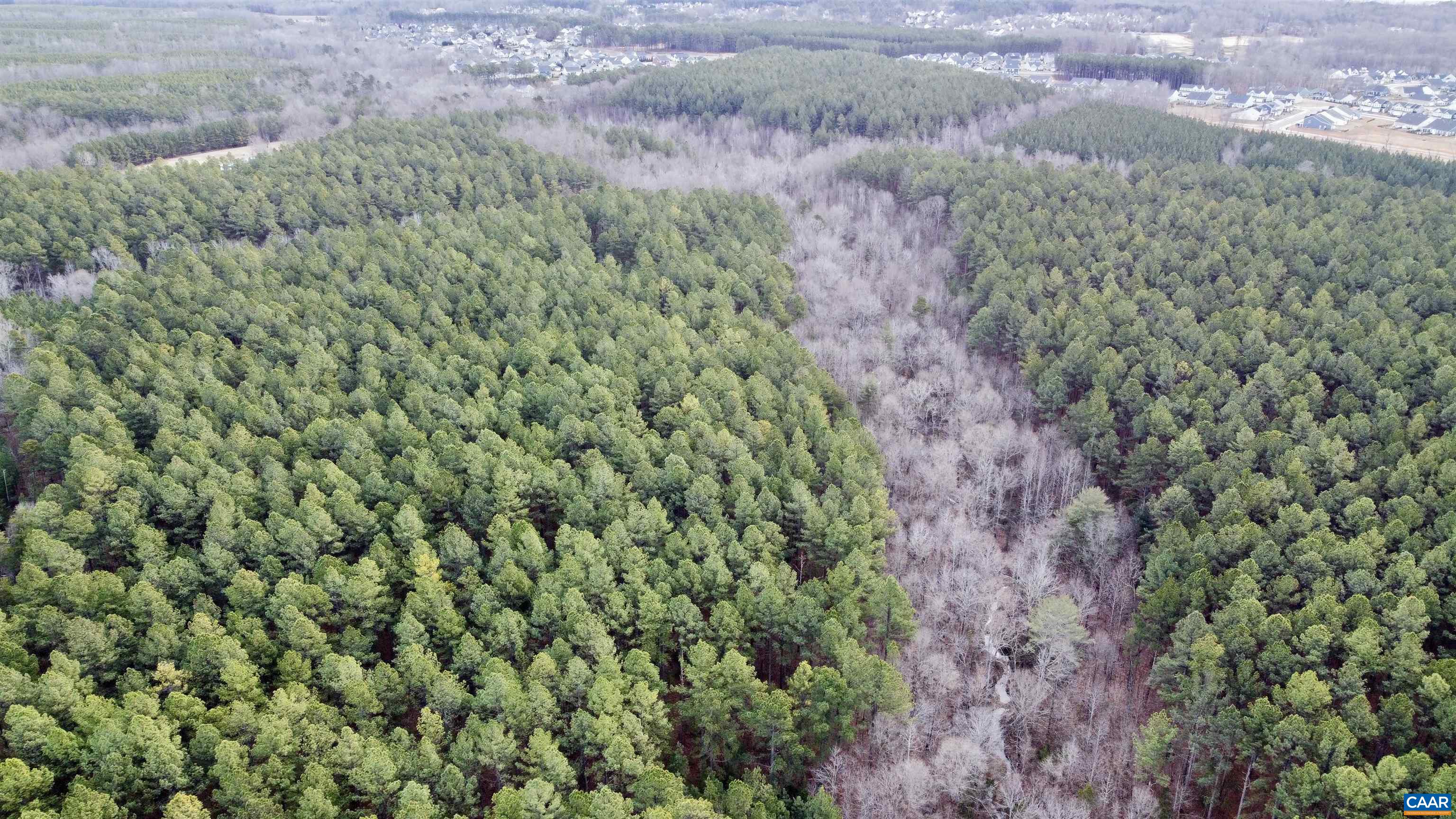 0 GREEN SPRING RD, LOUISA, Virginia 22942, ,Farm,0 GREEN SPRING RD,674251 MLS # 674251