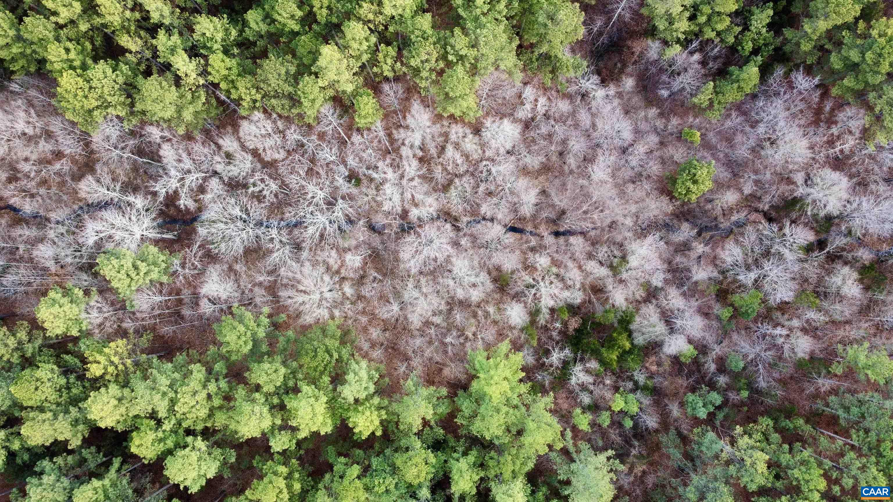 0 GREEN SPRING RD, LOUISA, Virginia 22942, ,Farm,0 GREEN SPRING RD,674251 MLS # 674251