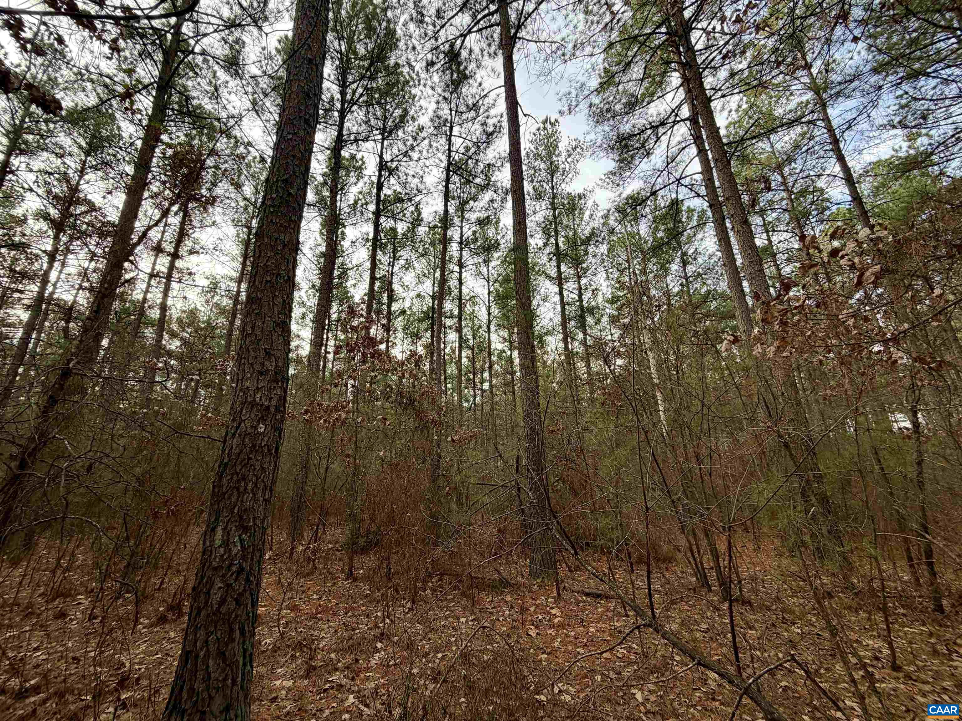 0 GREEN SPRING RD, LOUISA, Virginia 22942, ,Farm,0 GREEN SPRING RD,674251 MLS # 674251