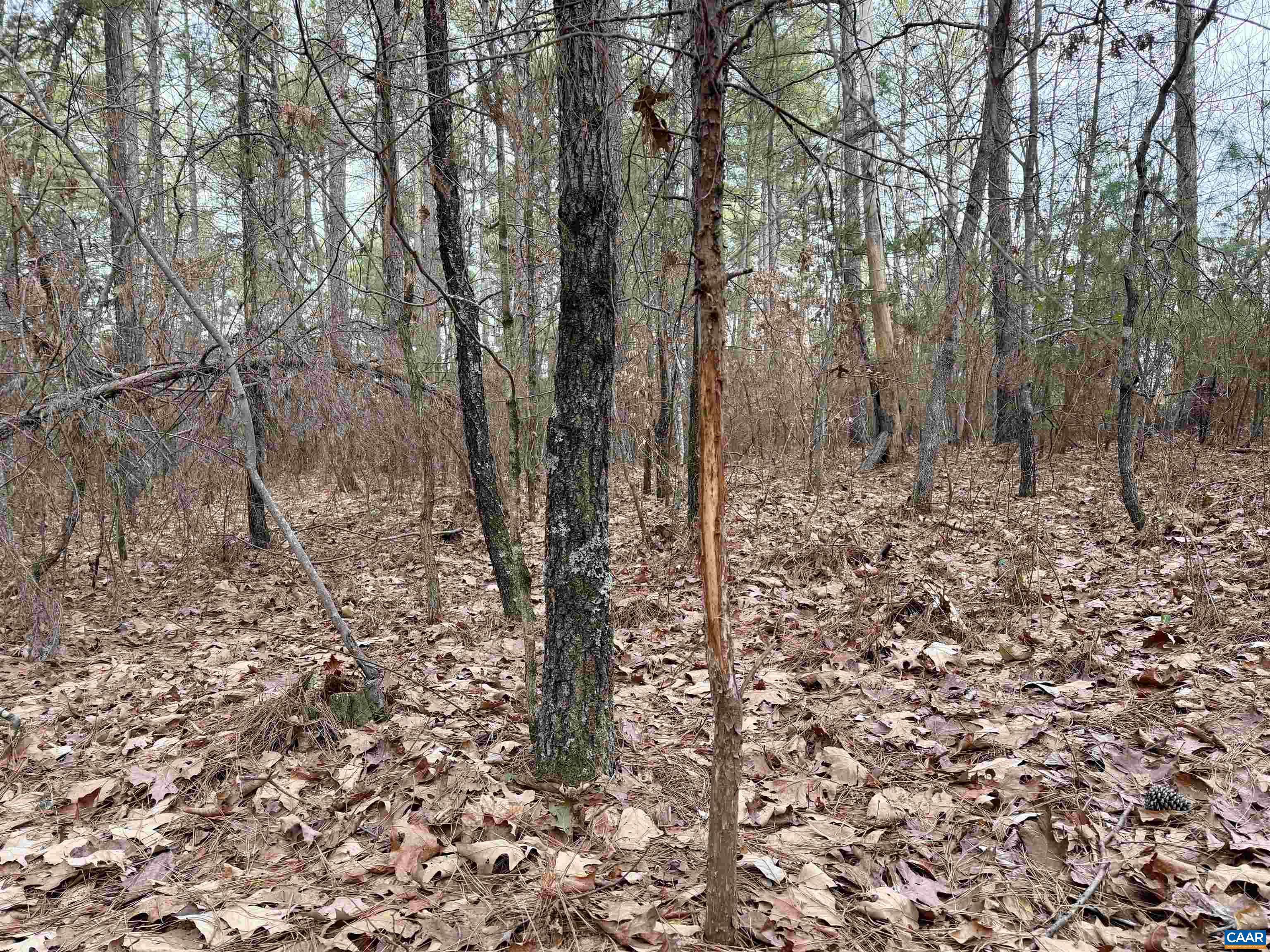 0 GREEN SPRING RD, LOUISA, Virginia 22942, ,Farm,0 GREEN SPRING RD,674251 MLS # 674251