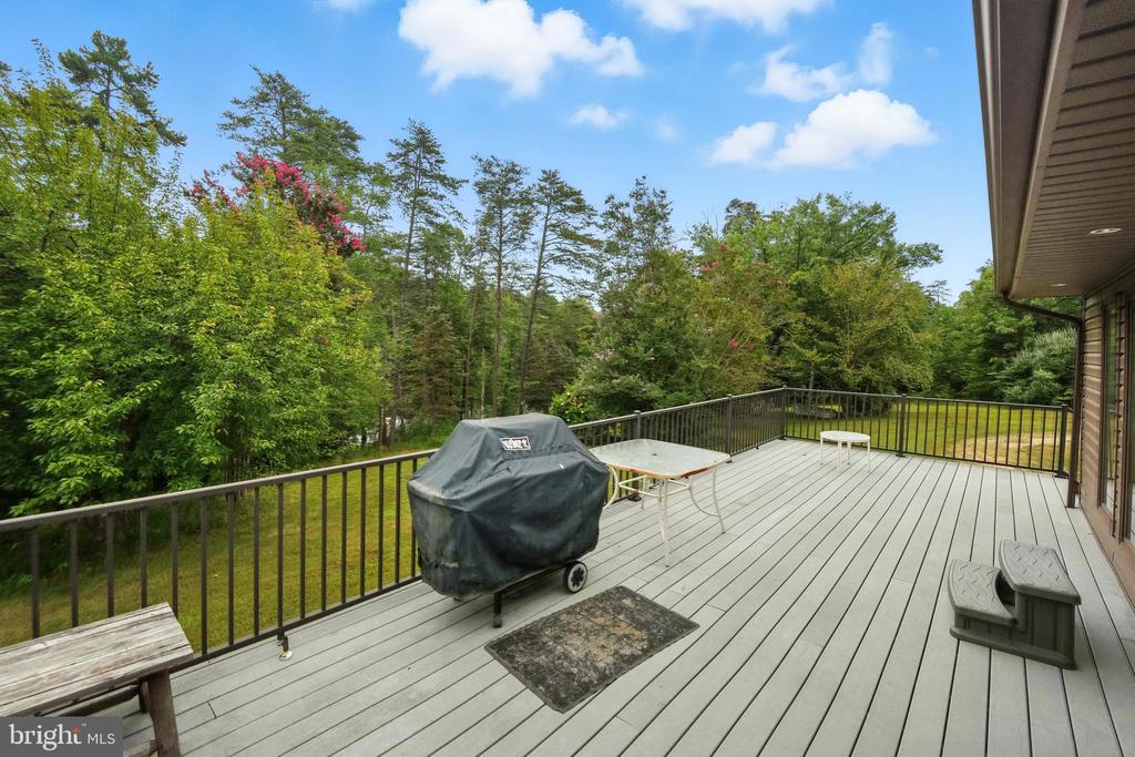 3807 BEAR TREE LN, BUMPASS, Virginia 23024, 3 Bedrooms Bedrooms, ,3 BathroomsBathrooms,Residential,3807 BEAR TREE LN,VASP2039710 MLS # VASP2039710