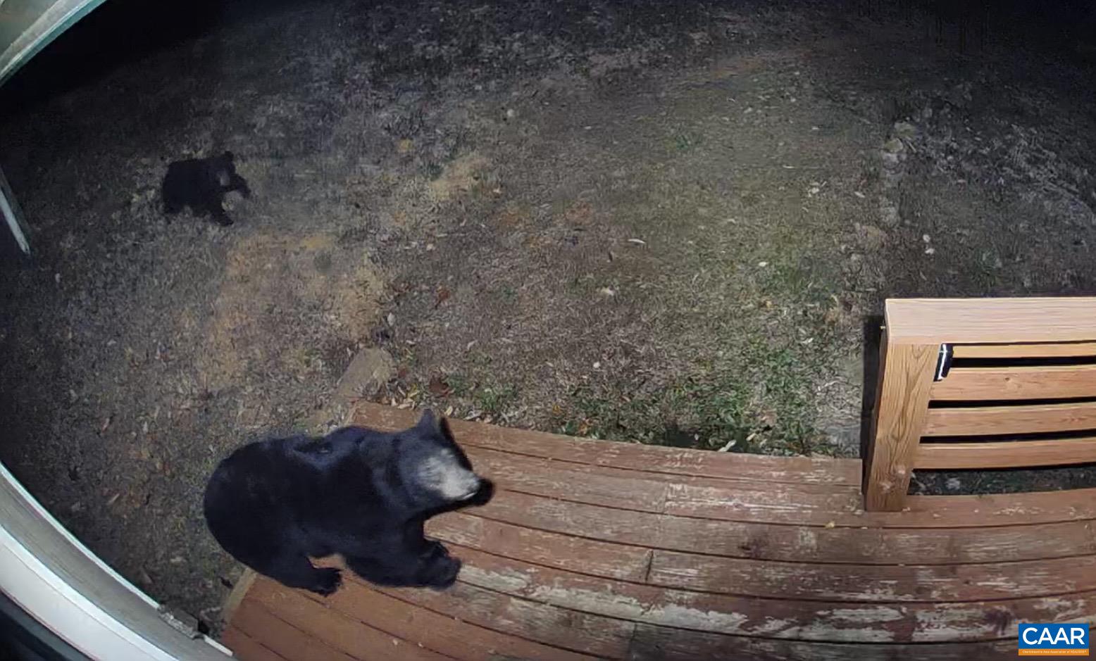 1494 SPRUCE CREEK LN, NELLYSFORD, Virginia 22958, 1 Bedroom Bedrooms, ,1 BathroomBathrooms,Residential,1494 SPRUCE CREEK LN,674252 MLS # 674252